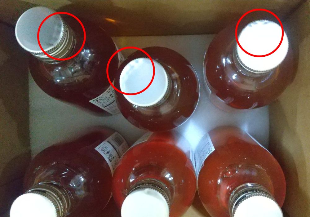 アガベジンジャー